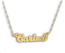 Would You Wear a Pet's Name Around Your Neck?