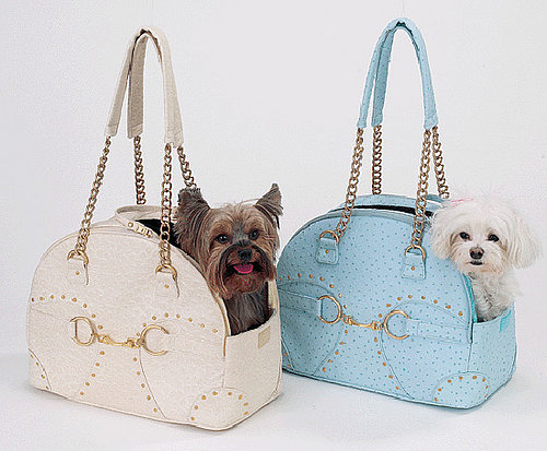 Trend Setters: Faux Ostrich For Furballs