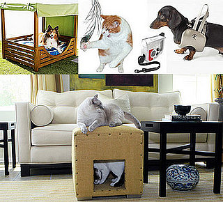 Pet's June Must Haves