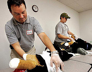 To the Rescue: Treating a "Bow-Owwie"