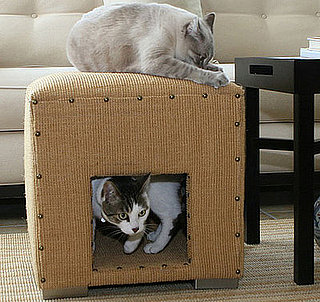 Win a Cat Scratch Cube for Your Kitty's Claws!
