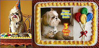 Happy Birthday, North: Two Sweet Cakes For My Sweet Boy!