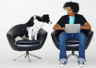 Do Tell: Would You Bring Your Pet to Work?