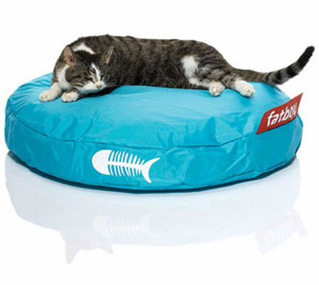 Pampered Pals: Fatboy Catbags