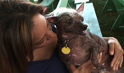 Behind-the-Scenes Video from the 2008 Ugliest Dog Contest!