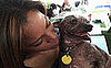 Ugly Dog Archie Shares Sunscreen Tips For Pets