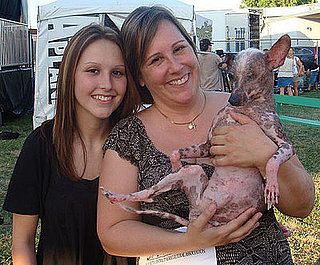 My Exclusive Interview with Gus, the 2008 World's Ugliest Dog!