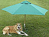 Pampered Pals: PetBrella