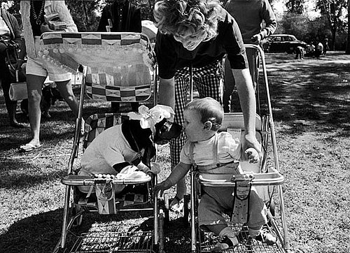 Do Tell: Comparing Yourself to Mommies of (Human) Babies?