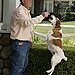 Bill and Star