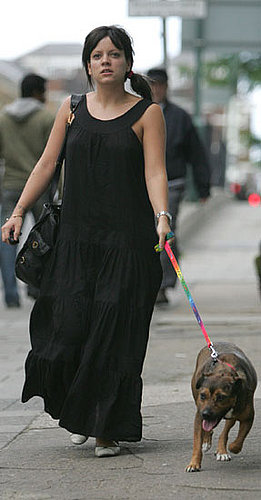 New Doggy Alert! Lily Allen's Rescued Pup