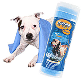 Dog Days of Summer: Tricks of the Towel