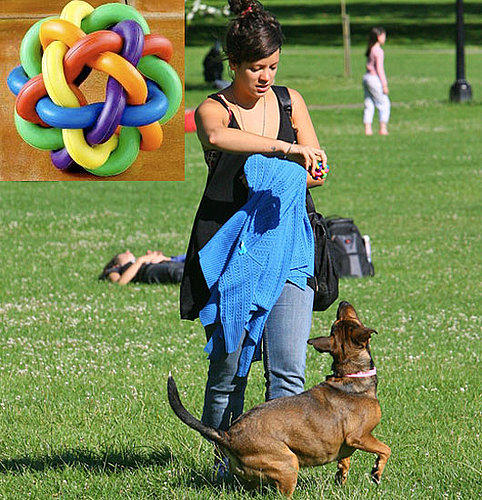 Lily Allen's Pup Gets a New Name and a New Toy!