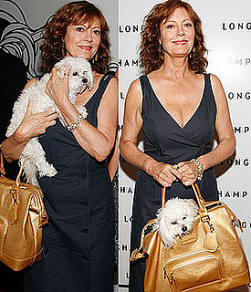 Celeb Redo: A Better Doggie Bag For Susan Sarandon