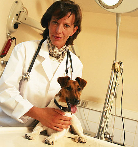When Was Your Pet Fixed?
