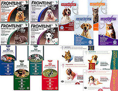 Which Flea and Tick Meds Do You Use? Which Flea and Tick Meds Do You Use?