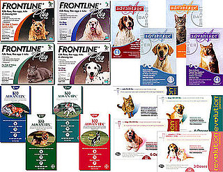 Which Flea and Tick Meds Do You Use?