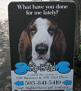 Shop Spotlight: Portland's The Hip Hound