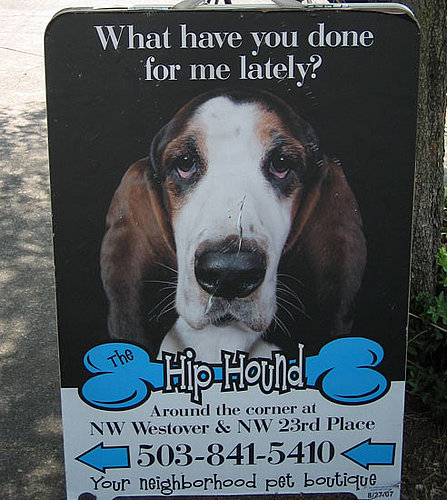 Shop Spotlight: Portland's The Hip Hound