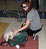 Found! Leighton Meester's Doggie Bag