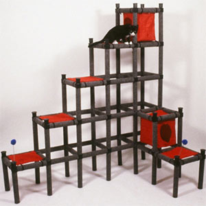 Do You Have Room For a Cat Playground?