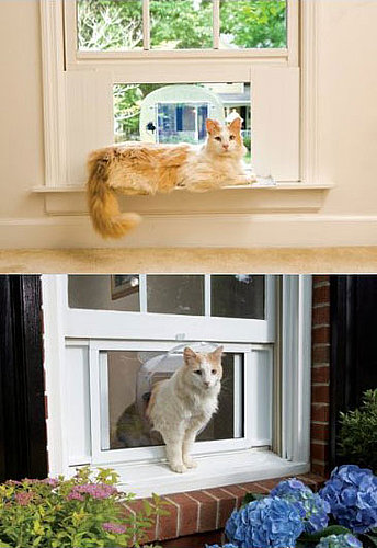 Pampered Pals: Cat Windoor Is Not a Typo