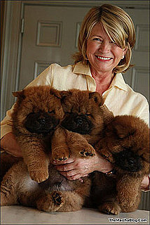 The Scoop: Martha Still Hasn't Picked Her Next Chow