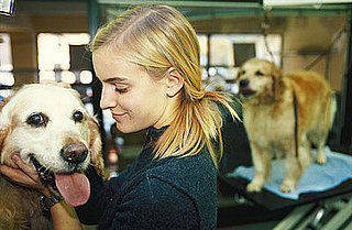 Ten Common Signs of Cancer in Pets