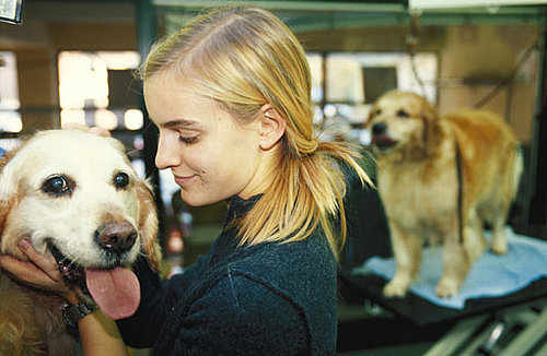 Ten Common Signs of Cancer in Pets