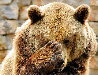 Guess What Animal? 