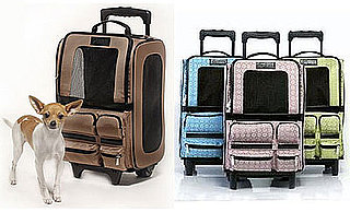 Pampered Pals: Jet Setter For Your Jet Setters