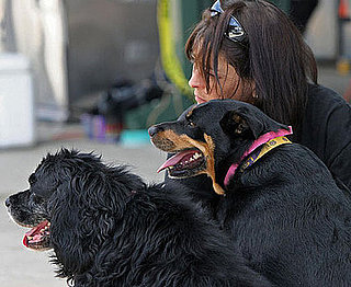 I Need Your Help . . . My Pet Only Listens to Me!