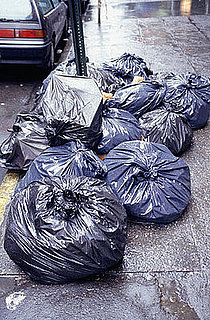 Dog Days of Summer: Keep Pets Out of the Trash!