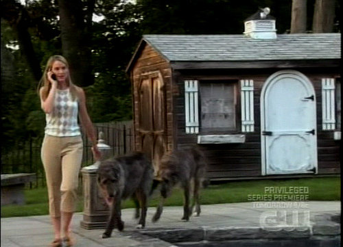 Surprise Furry Cameos on Gossip Girl!