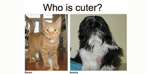 Play "Which Pet Is Cuter?"... and Win!