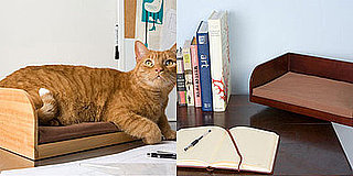 Perfect Snuggle Spot For Kitties With an Eye For (and on) Tech