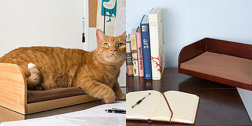 Perfect Snuggle Spot For Kitties With an Eye For (and on) Tech