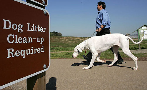 Would You Provide Doggie's DNA to Stop Unscooped Poop?
