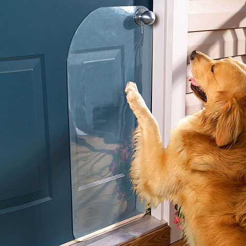 Scratch Protector Saves Doors From Dogs' Claws