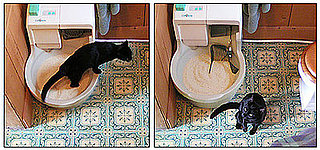 Upgrade Your CatGenie with the Power Flush System for Free!