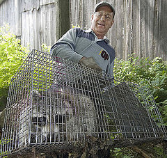 What Do You Know About Rabies? What Do You Know About Rabies?