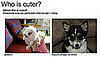 Have You Played "Which Pet Is Cuter?" For Money Yet?!