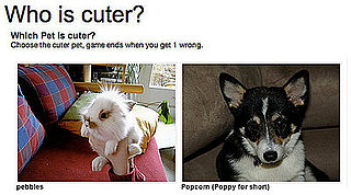 Have You Played "Which Pet Is Cuter?" For Money Yet?!