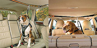 Pampered Pals: Zip Line Dog Car Harnesses