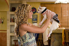 Behind-the-Scenes: Chloe's Beverly Hills Chihuahua Wardrobe Behind-the-Scenes: Chloe's Beverly Hills Chihuahua Wardrobe