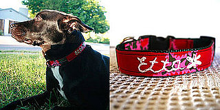 Pampered Pals: One-of-a-Kind Embroidered Collars