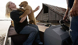 I Need Your Help . . . My Friend Is Terrified of Dogs!