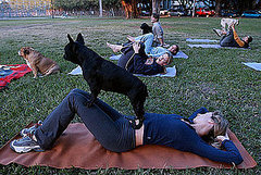 Do Tell: What's Your Favorite Workout With Furry Friends? Do Tell: What's Your Favorite Workout With Furry Friends?