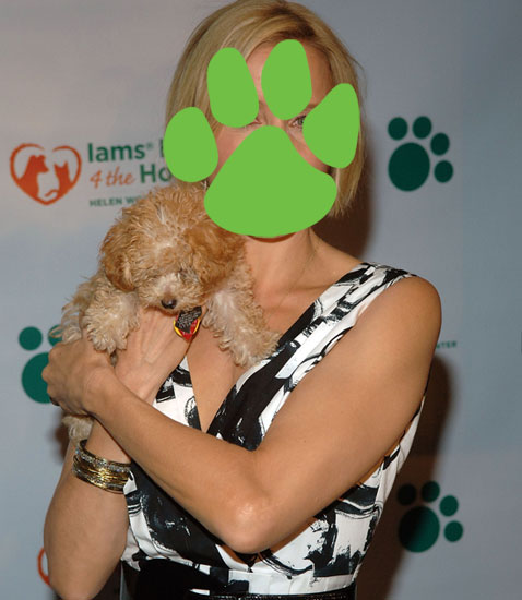 Iams Home 4 the Holidays