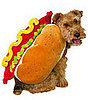 Online Sale Alert! Target Halloween Costumes for Pets